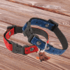 Obroża z nylonu dla psa 5th Avenue 2 kolory