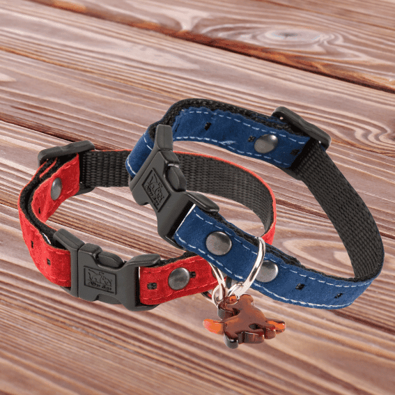 Obroża z nylonu dla psa 5th Avenue 2 kolory