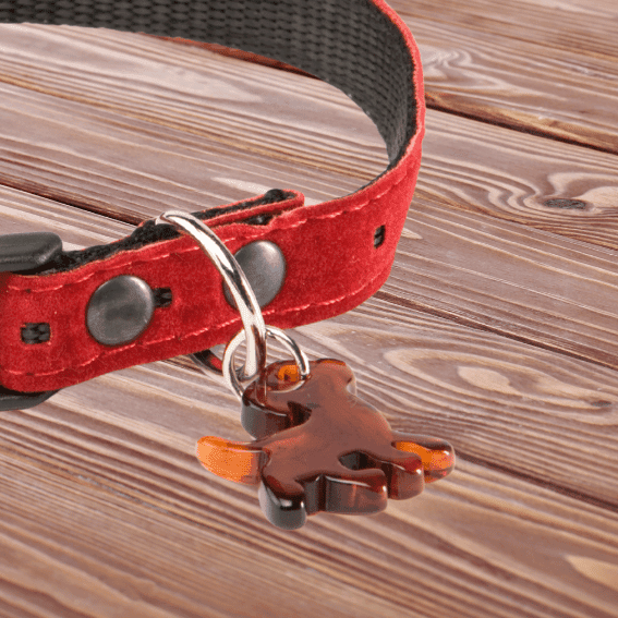 Obroża z nylonu dla psa 5th Avenue czerwona 3