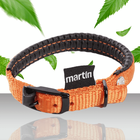 Obroża z nylonu dla psa Komfort pomaranczowa 2