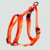 Szelki guard dla psa nylon pomaranczowe