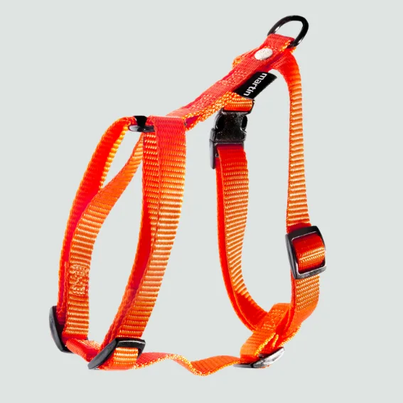 Szelki guard dla psa nylon pomaranczowe