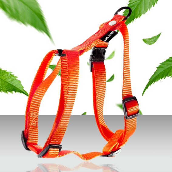 Szelki guard dla psa nylon pomaranczowe 2