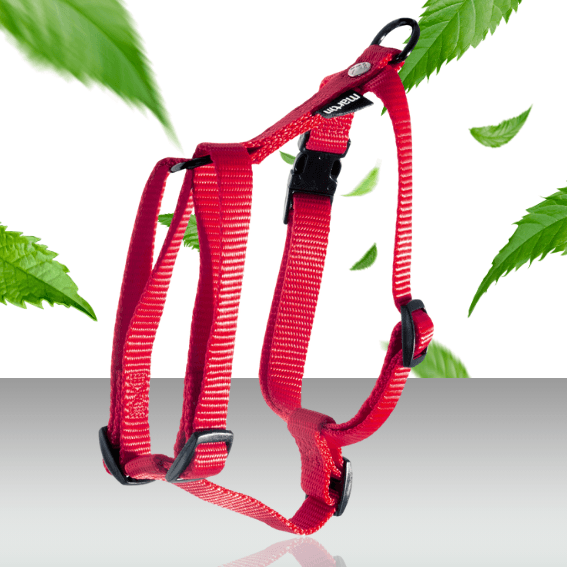 Szelki guard dla psa nylon czerwone 2
