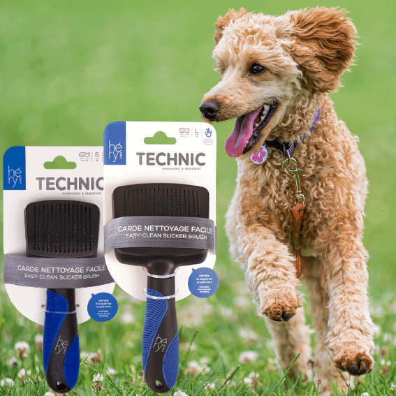Szczotka pudlówka Technic Héry z psem