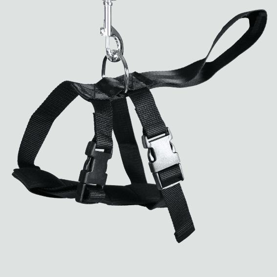 Szelki zabezpieczające dla psa do samochodu czarne