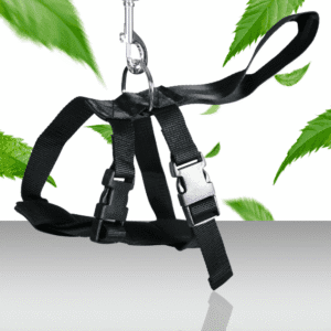 Szelki zabezpieczające dla psa do samochodu czarne 2