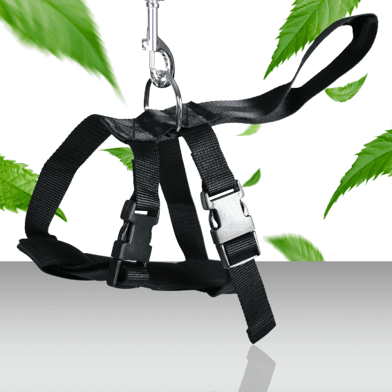 Szelki zabezpieczające dla psa do samochodu czarne 2