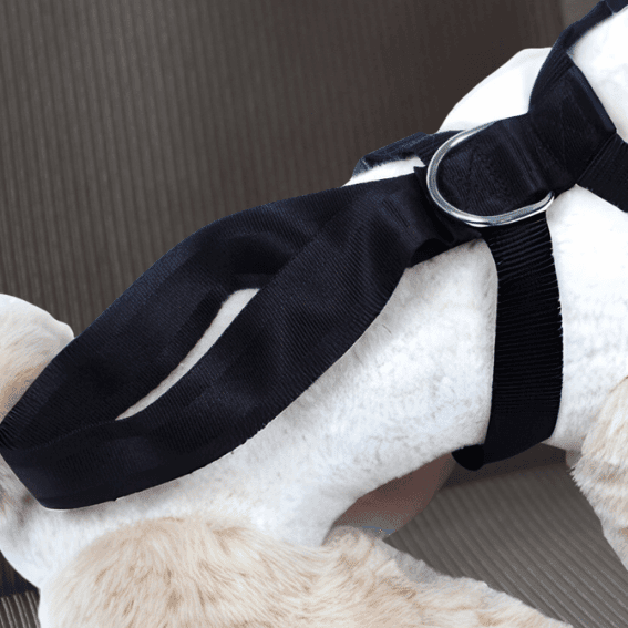 Szelki zabezpieczające dla psa do samochodu czarne 3