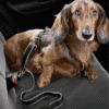 Zapięcie zabezpieczające do samochodu dla psa srebrne 3