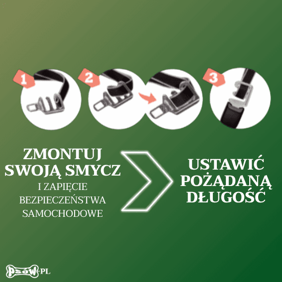 Zapięcie zabezpieczające do samochodu dla psa srebrne 4