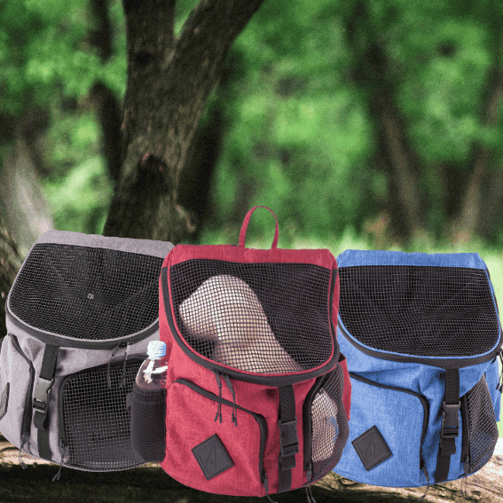 Plecak/nośidełko dla psa Croisette 3 kolory