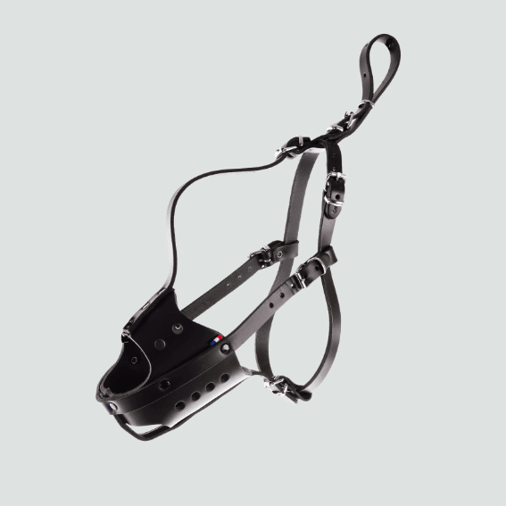 Kaganiec skórzany dla psa pełnozarnisty czarny Kaganiec skórzany dla psa pełnozarnisty czarny