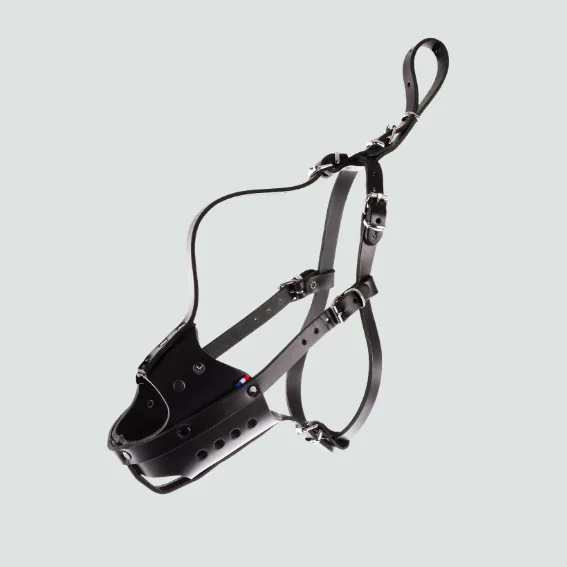 Kaganiec skórzany dla psa pełnozarnisty czarny