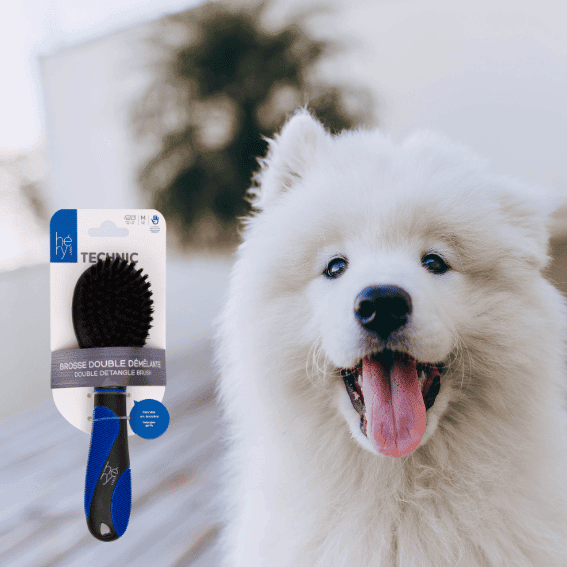 Szczotka dwustronna Technic Héry z psem