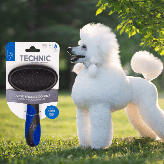 Szczotka pudlówka dwustronna Technic Héry z psem