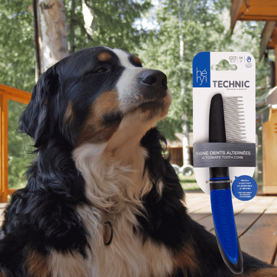 Grzebień naprzemienny dla psa Technic Héry z psem