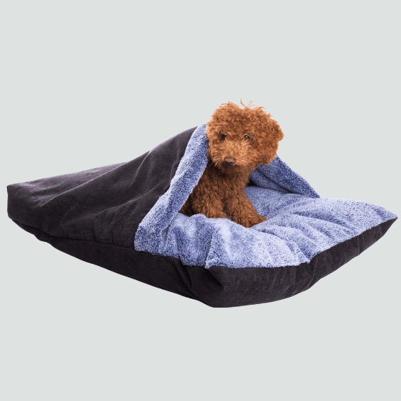 Materac dla psa z kocem Doudouzen niebieski 3