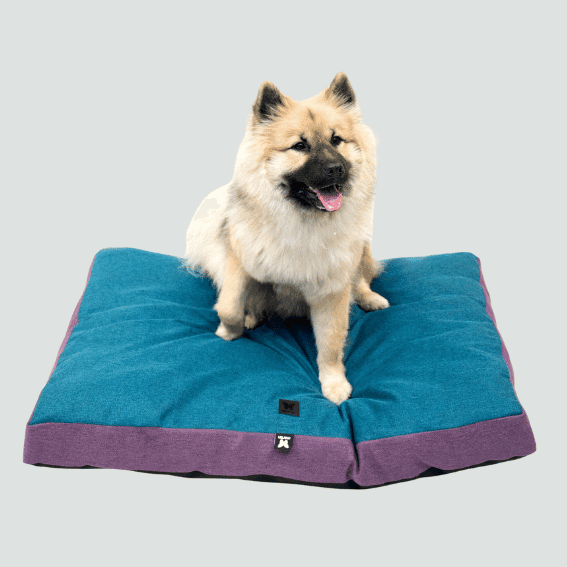 tabela rozmiarow Materac dla psa tkanina Oxford niebiesko-fioletowy 6