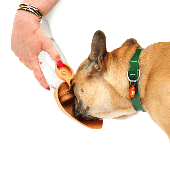 Butelka na wodę dla psa z silikonu 2w1 z psem 2