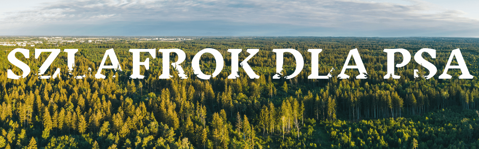kategoria szlafrok dla psa