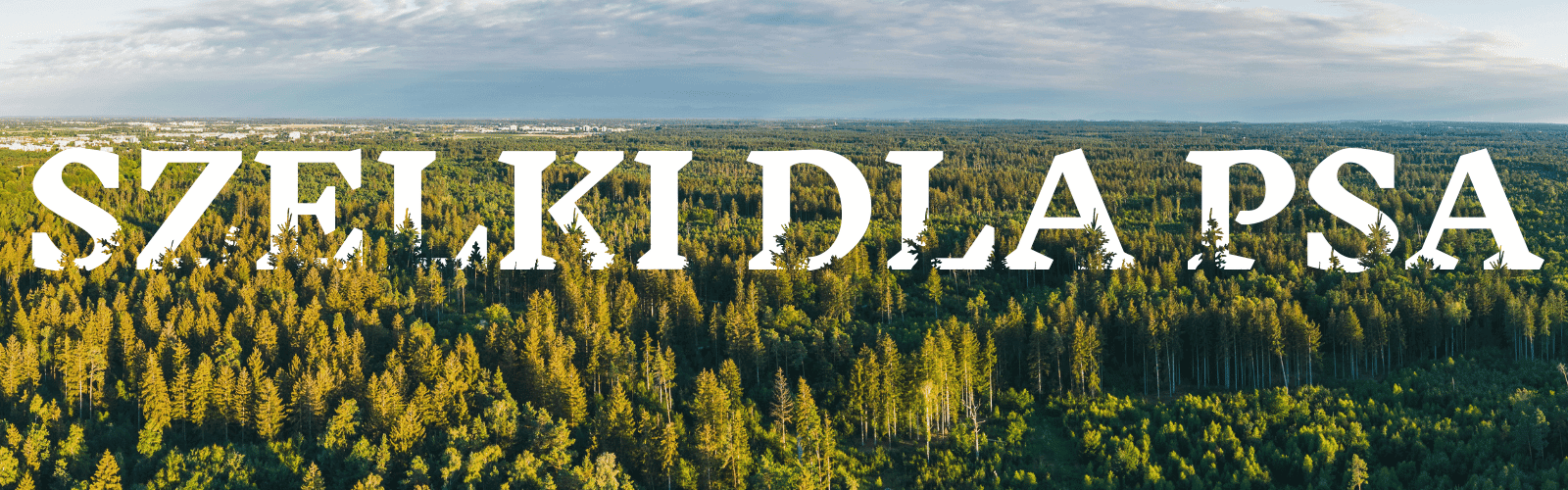 kategoria szelki dla psa