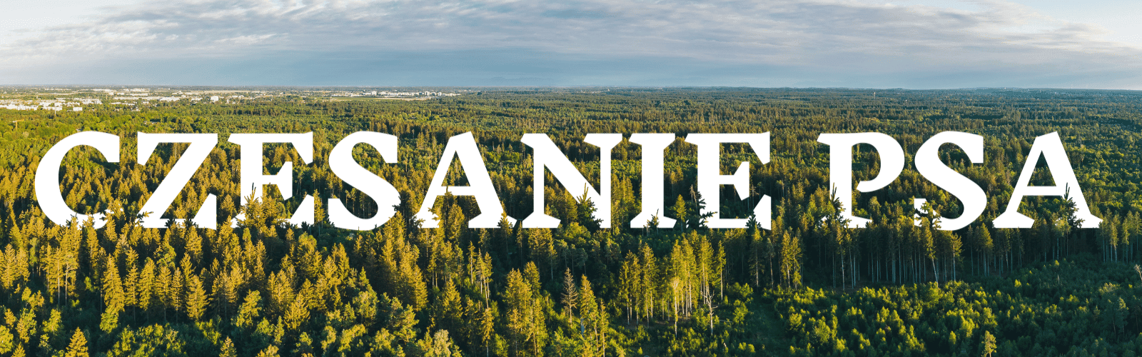 kategoria czesanie psa